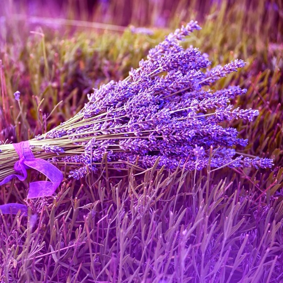 Welcome to my closet! My name is Harriet - Picture 3 of 16